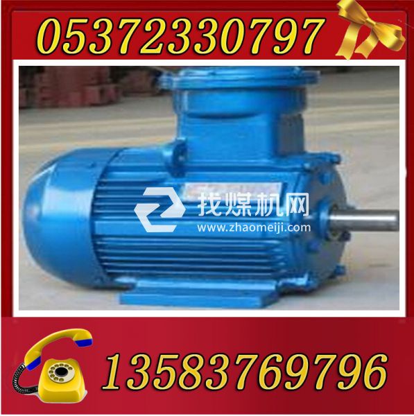 YBK3-180M-4煤礦專(zhuān)用電機(jī)18.5KW防爆電機(jī)廠(chǎng)家直銷(xiāo)